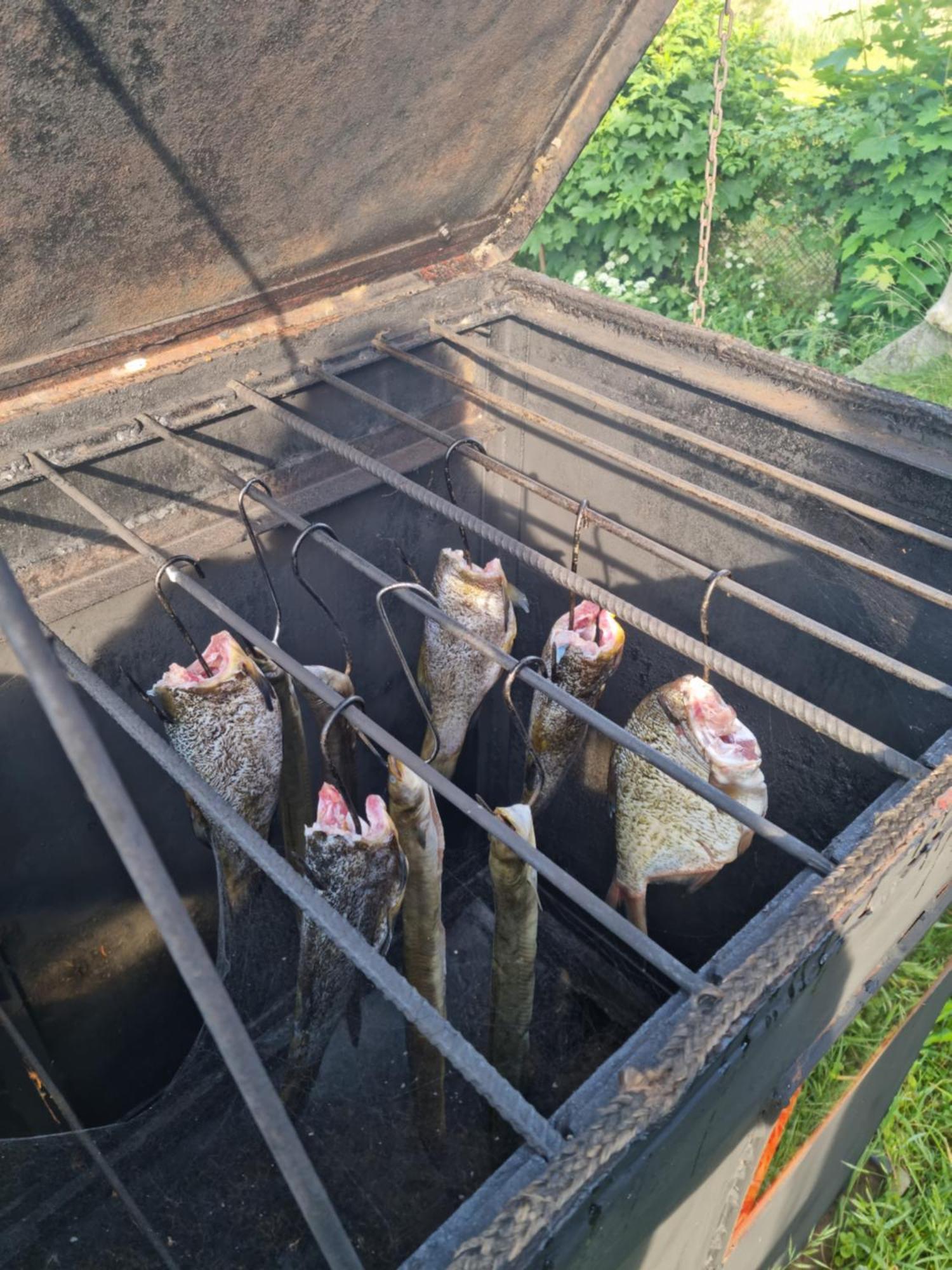 Eko-Fish Villa Miastko Bagian luar foto