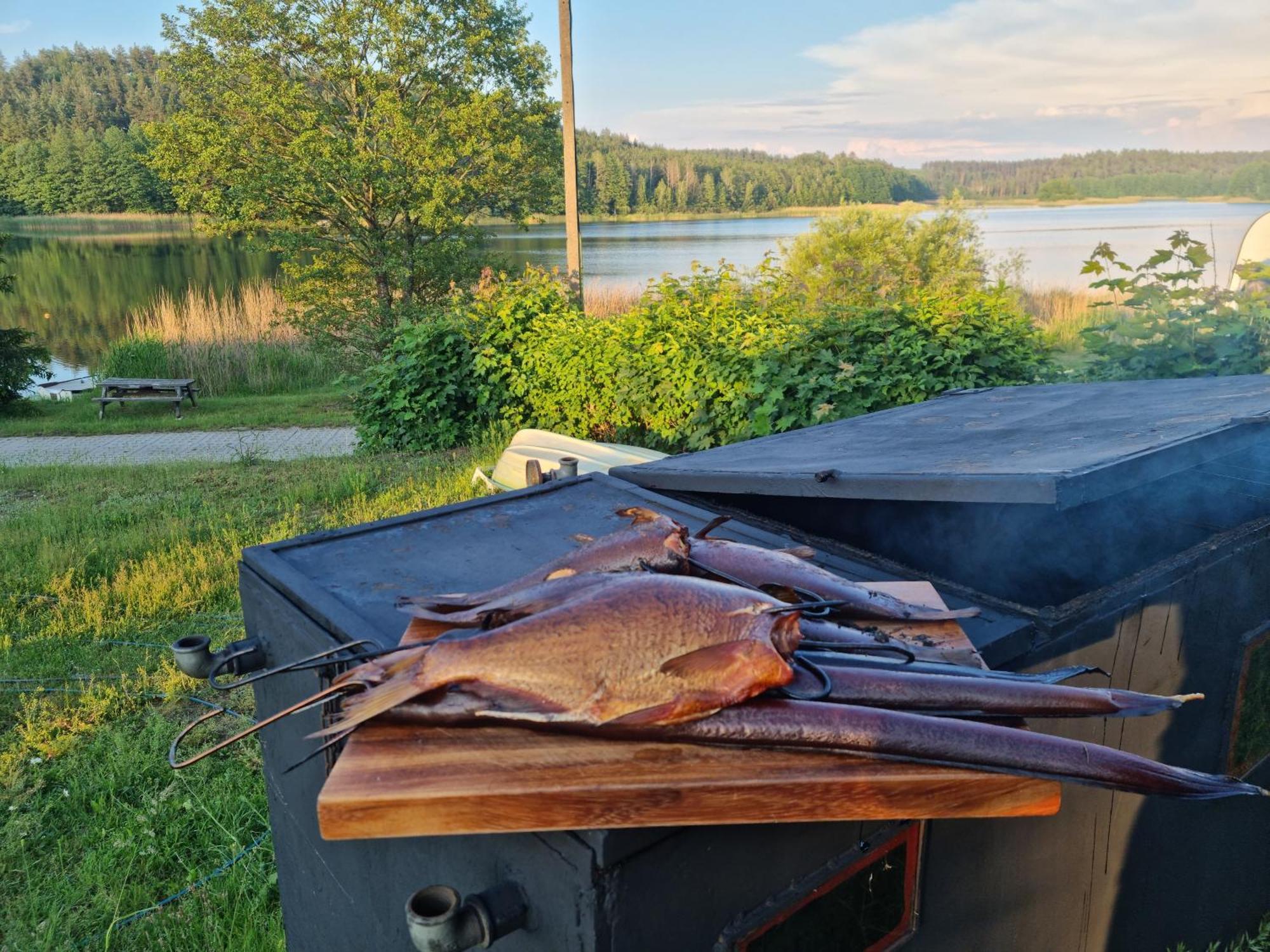Eko-Fish Villa Miastko Bagian luar foto