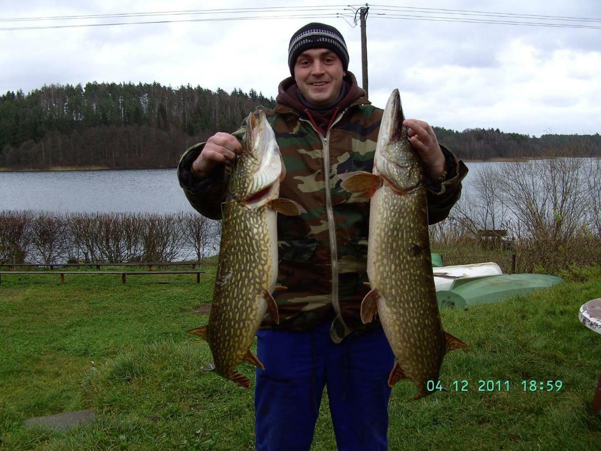 Eko-Fish Villa Miastko Bagian luar foto