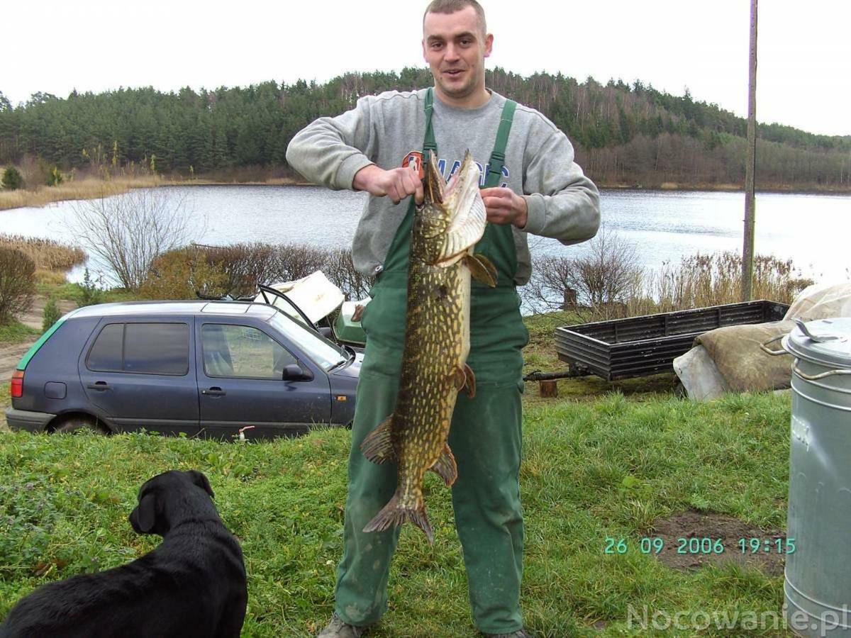 Eko-Fish Villa Miastko Bagian luar foto